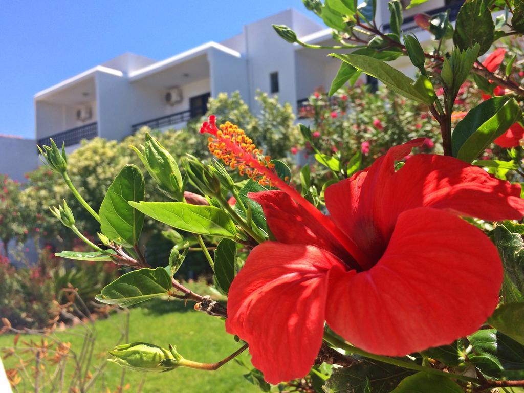 Debby Apartments Ialysos  Exterior foto