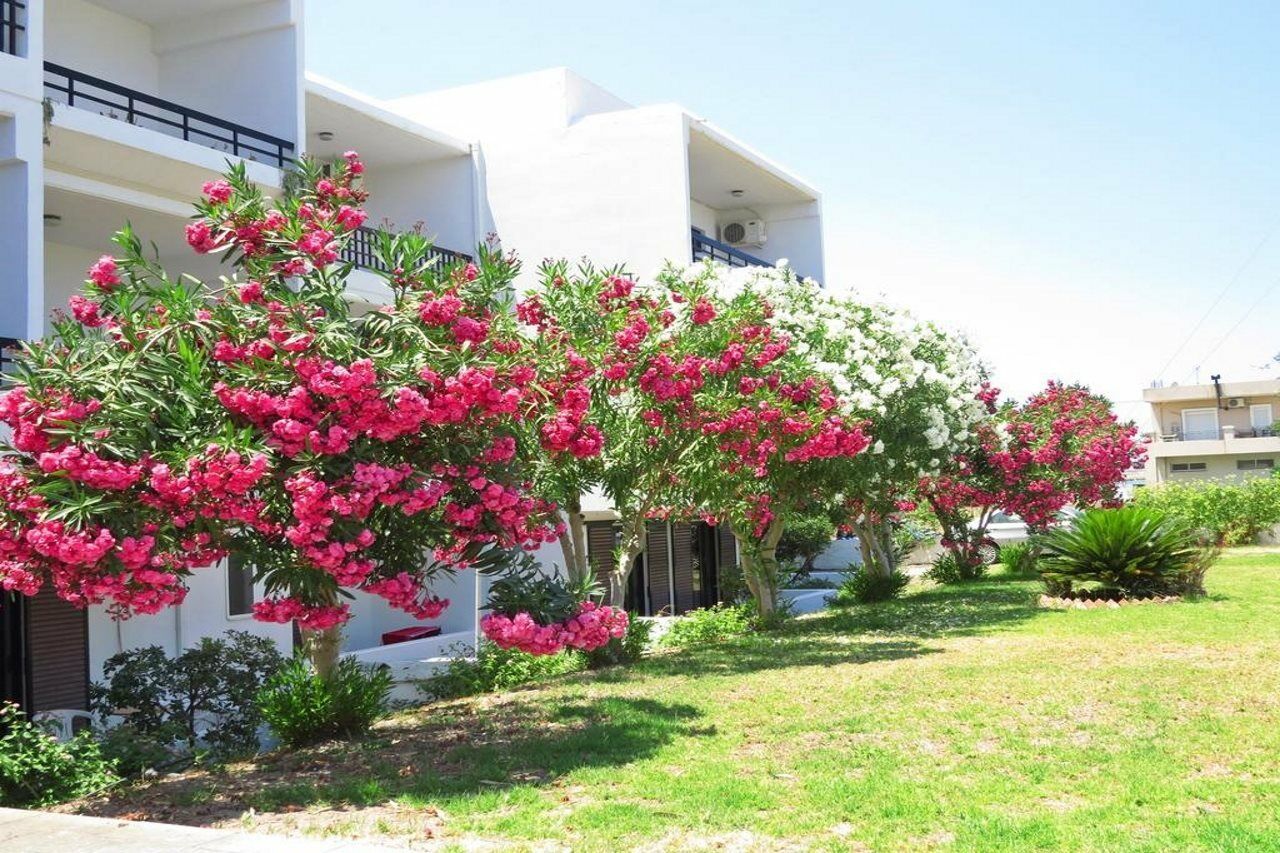 Debby Apartments Ialysos  Exterior foto